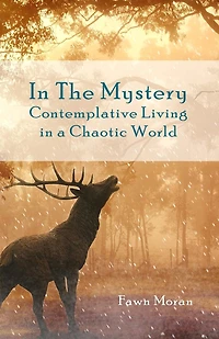 In The Mystery: Contemplative Living In A Chaotic World