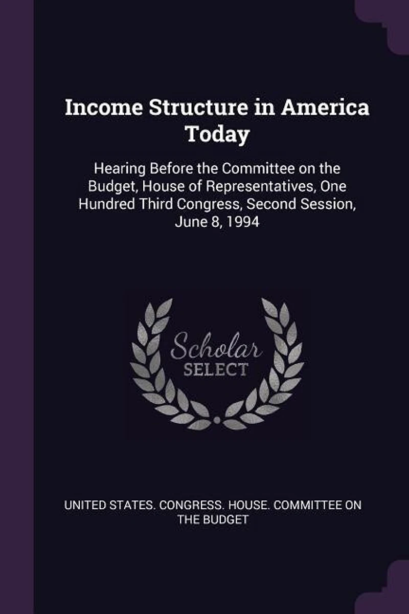 Income Structure America Today: Hearing Before the Committee on Budget, House of Representatives, One Hundred Third Congress, S