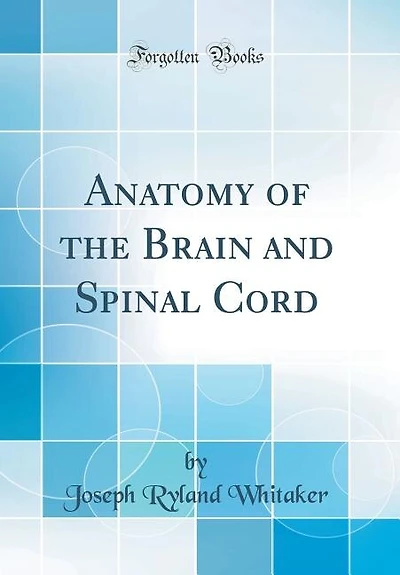Anatomy of the Brain and Spinal Cord (Classic Reprint)