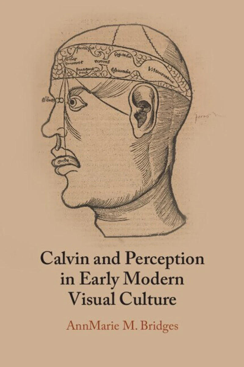 Calvin and Perception Early Modern Visual Culture