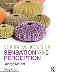 Foundations Of Sensation And Perception