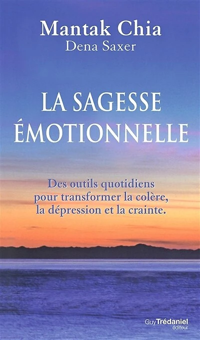 la sagesse émotionnelle: des outils quotidiens pour transformer colère, dépression et crainte