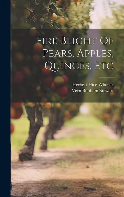 Fire Blight Of Pears, Apples, Quinces, Etc
