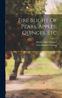 Fire Blight Of Pears, Apples, Quinces, Etc
