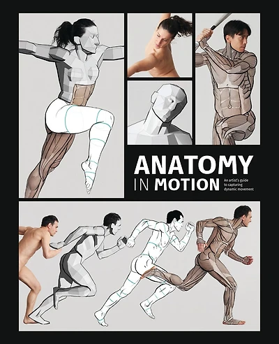 Anatomy in Motion: An artist's guide to capturing dynamic movement