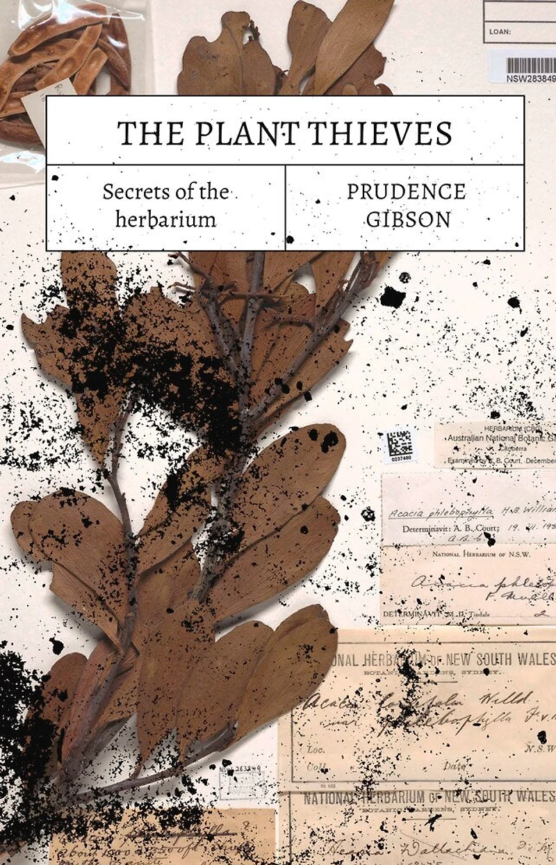 the Plant Thieves: Secrets of herbarium