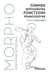 Formes articulaires, fonctions musculaires