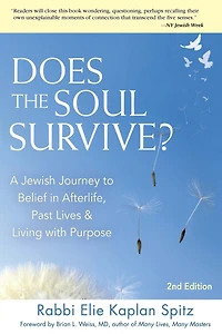 Does The Soul Survive? (2nd Edition): A Jewish Journey To Belief Afterlife,  Past Lives & Living With Purpose