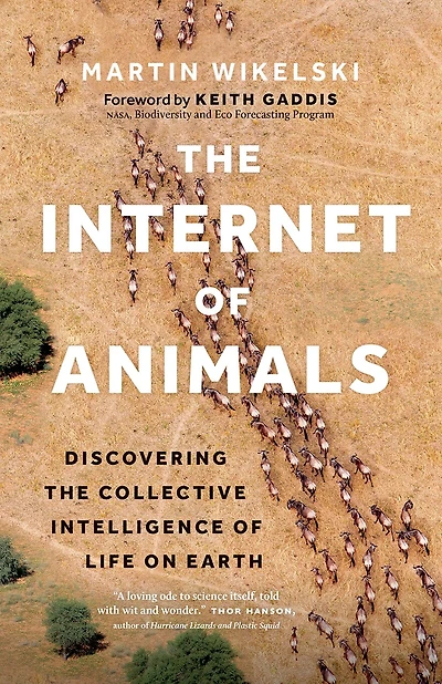 the Internet of Animals: Discovering Collective Intelligence Life on Earth