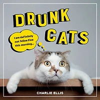 Drunk Cats: Hilarious Snaps Of Wasted Cats