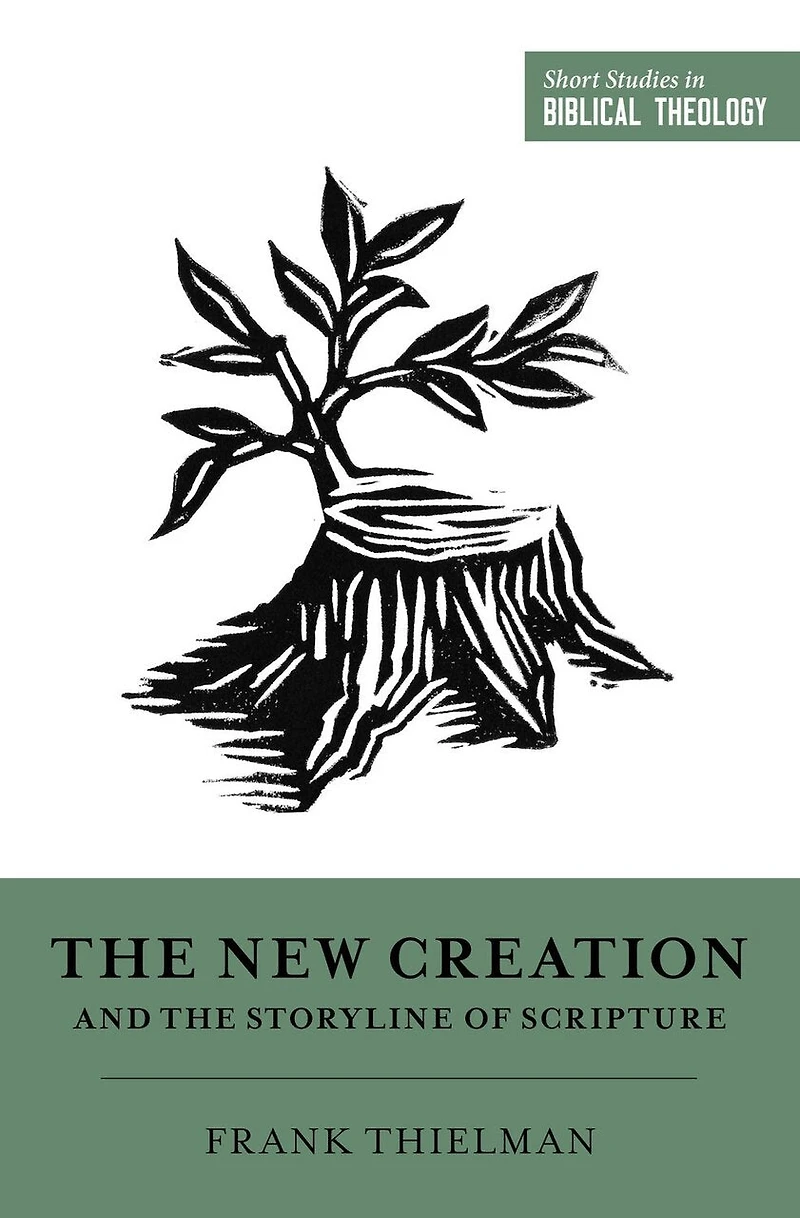The New Creation And Storyline Of Scripture
