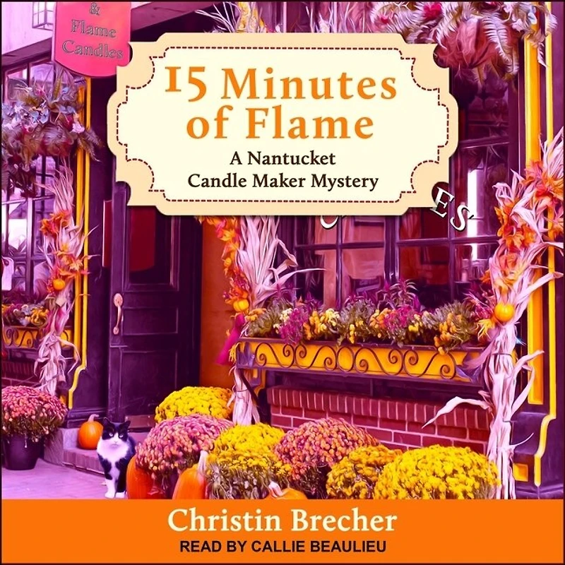 15 Minutes of Flame Lib/E