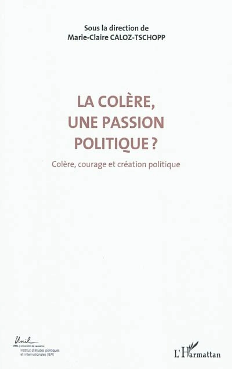 La colère, une passion politique ? (volume 3) - cour