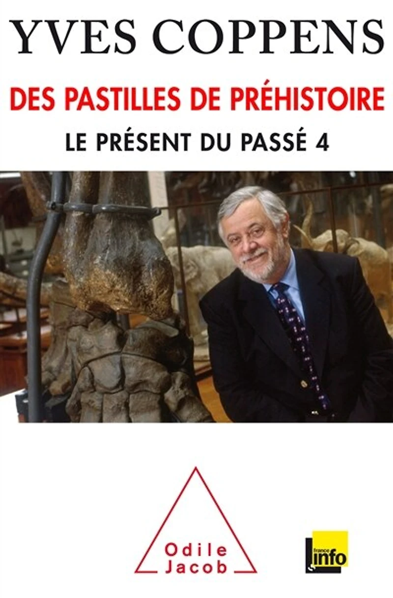 Des pastilles de la préhistoire: Le présent du passé tome 4