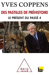 Des pastilles de la préhistoire: Le présent du passé tome 4