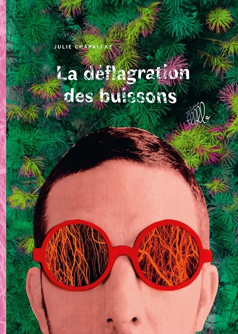 La déflagration des buissons