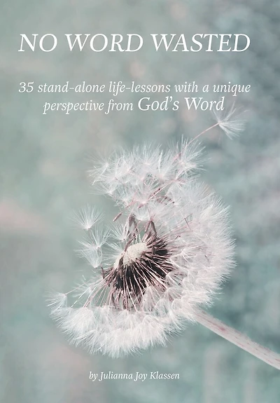 No Word Wasted: 35 stand-alone life-lessons with a unique perspective from God's