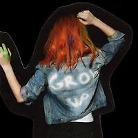 Paramore by Paramore (10th Anniversary Reissue) (2 Black LPs)