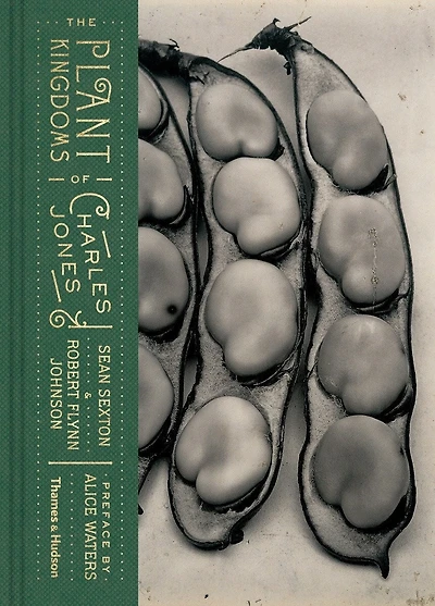 The Plant Kingdom Of Charles Jones