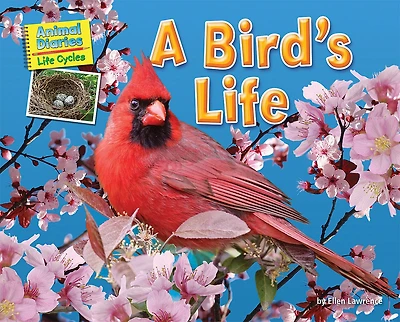 A Bird's Life
