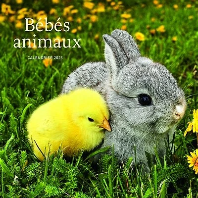 Bébés animaux : Calendrier 2025: Calendrier 2025