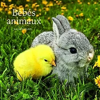 Bébés animaux : Calendrier 2025: Calendrier 2025