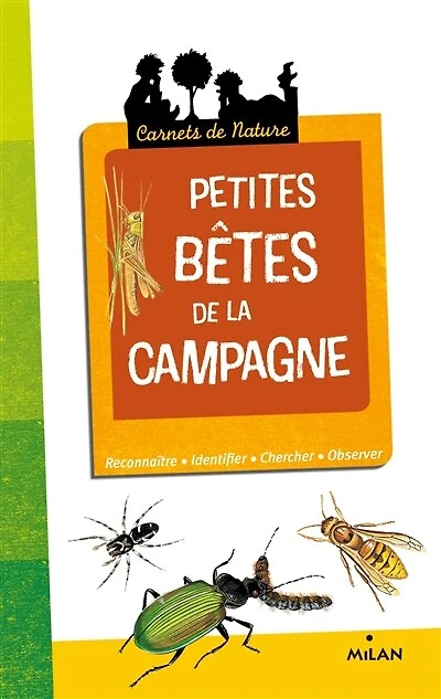 Petites bêtes de la campagne: chercher, observer, reconnaître, identifier
