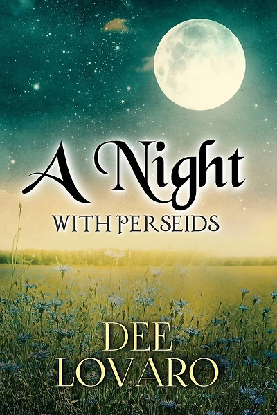 A Night With Perseids