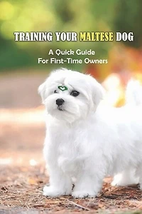Training Your Maltese Dog: A Quick Guide For First-Time Owners: Maltese Breed Characteristic