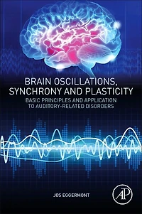 Brain Oscillations, Synchrony and Plasticity: Basic Principles Application to Auditory-Related Disorders