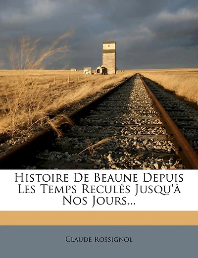 Histoire De Beaune Depuis Les Temps Reculés Jusqu'à Nos Jours...
