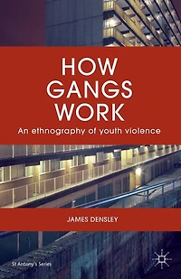 How Gangs Work: An Ethnography of Youth Violence