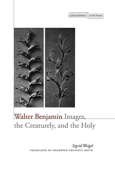 Walter Benjamin: Images, The Creaturely, And Holy