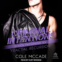 Criminal Intentions: Season Two, Episode Ten: Fractal Recursion