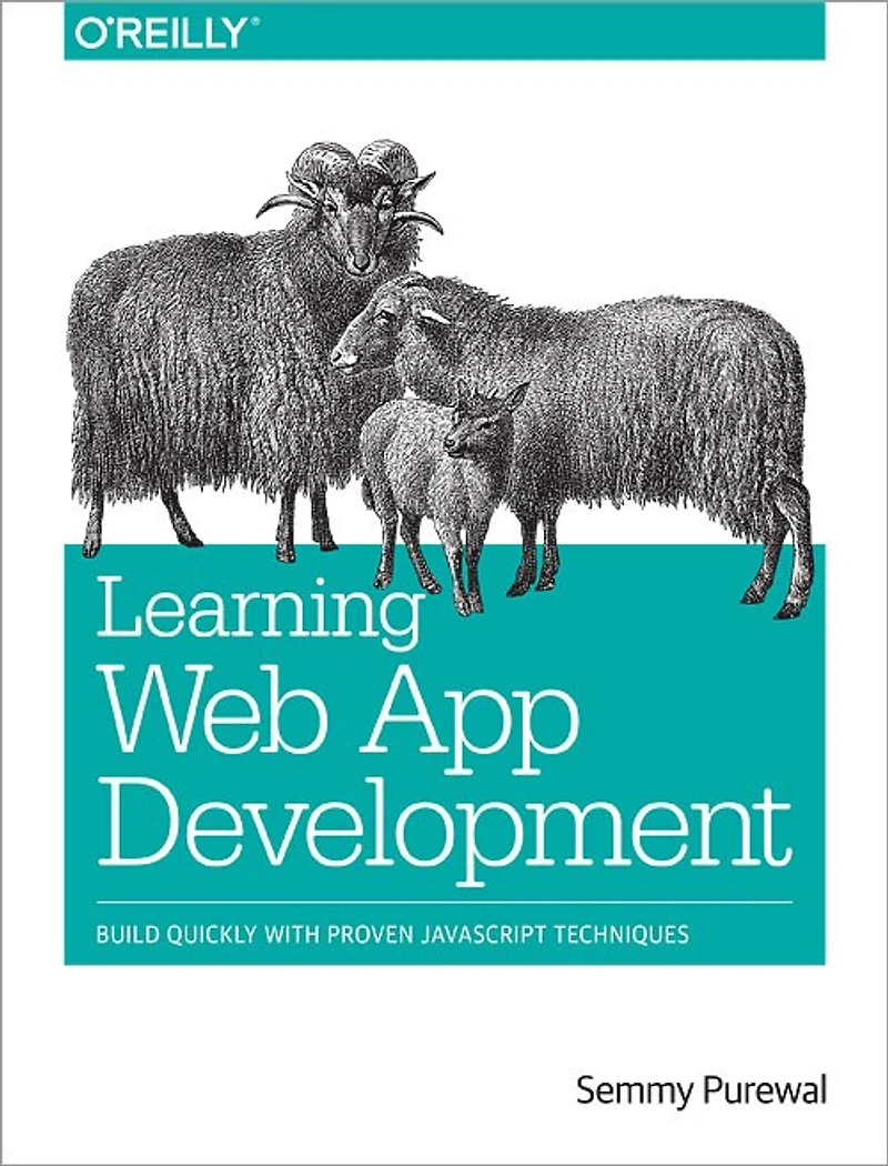 Learning Web App Development: Build Quickly With Proven Javascript Techniques
