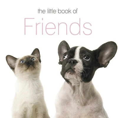 The Little Book Of Friends