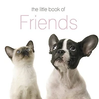 The Little Book Of Friends