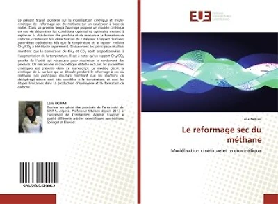Le reformage sec du méthane: Modélisation cinétique et microcinétique