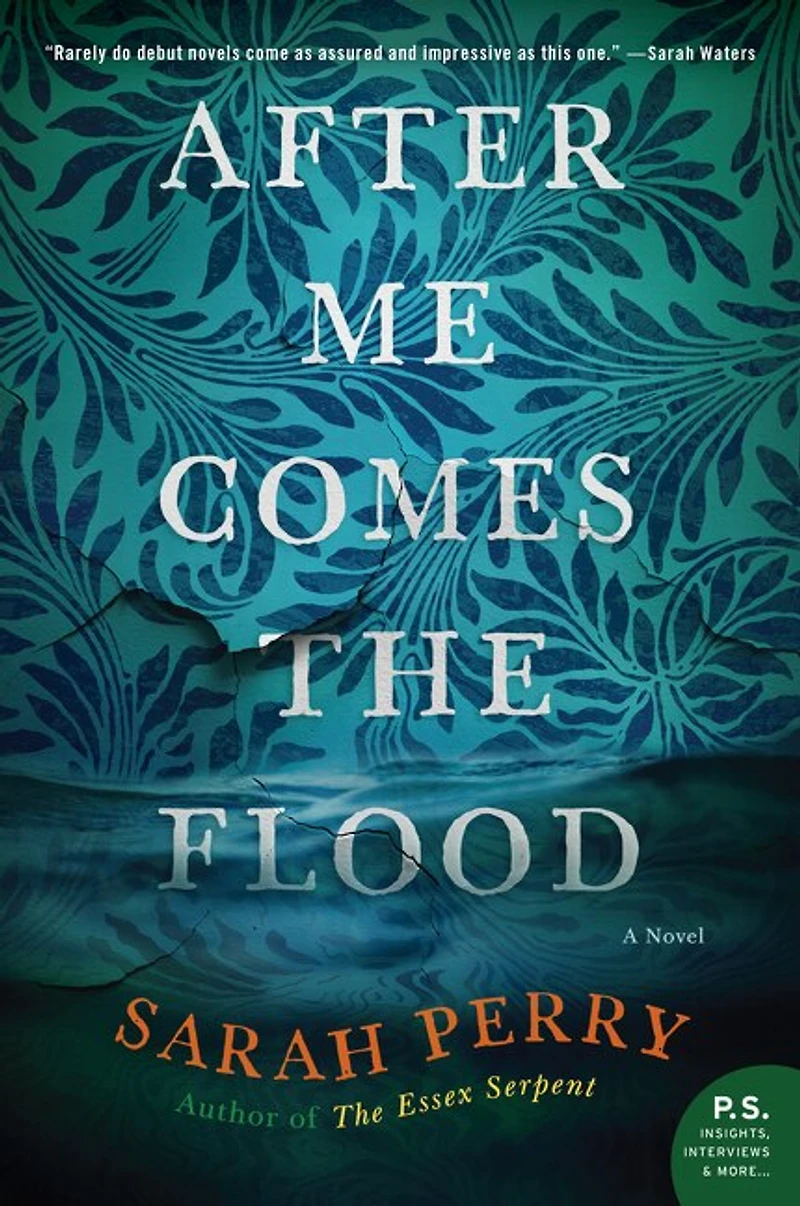 After Me Comes the Flood: A Novel
