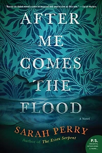 After Me Comes the Flood: A Novel
