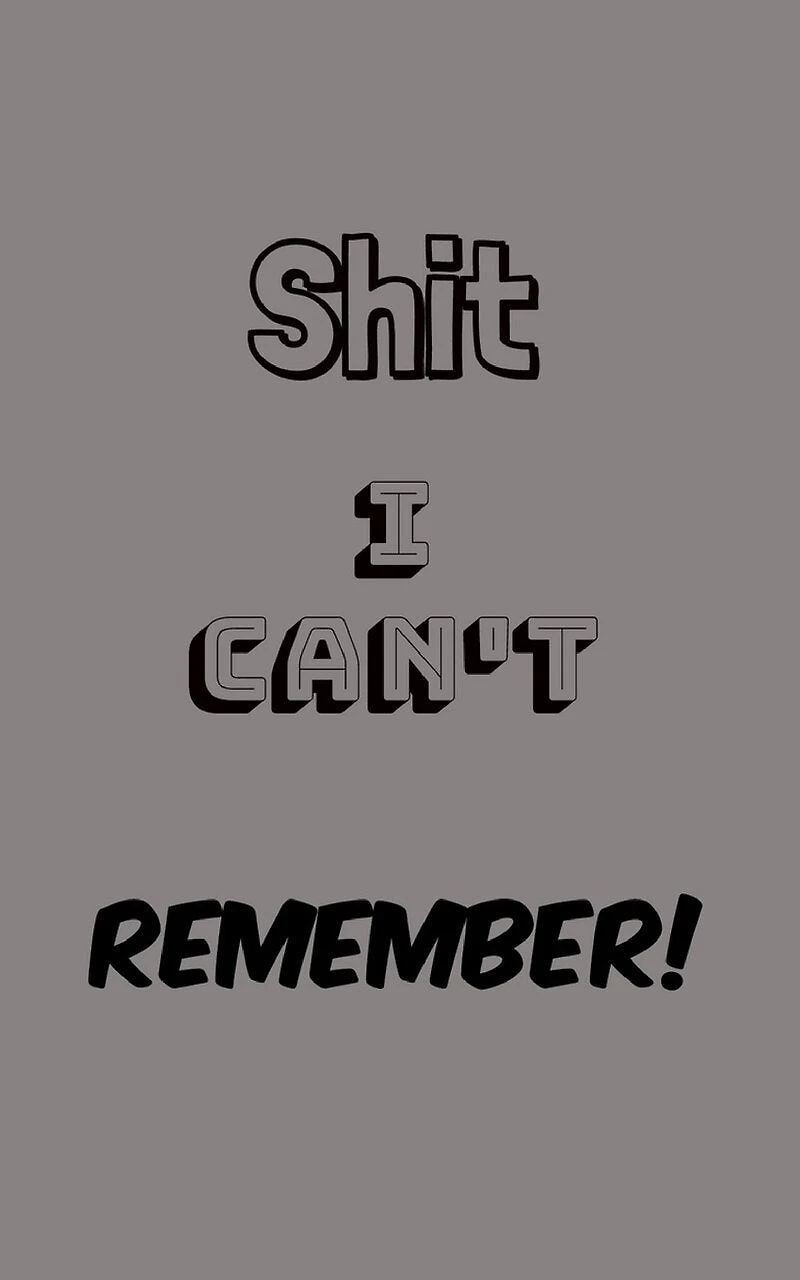 Shit I Can't Remember: Organize All Your Own Passwords and Shit