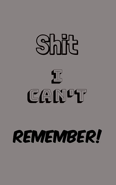 Shit I Can't Remember: Organize All Your Own Passwords and Shit