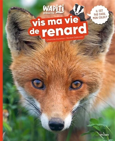 Vis ma vie de renard