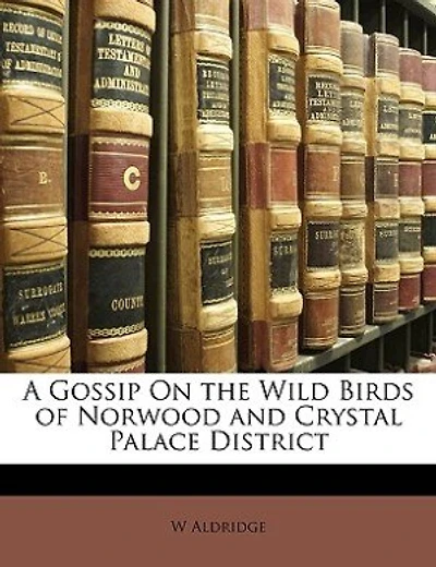 A Gossip On the Wild Birds of Norwood and Crystal Palace District