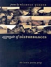 Aggregate of Disturbances