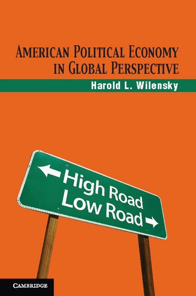 American Political Economy Global Perspective