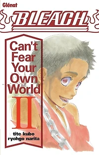 Bleach : can't fear your own world, Vol. 2