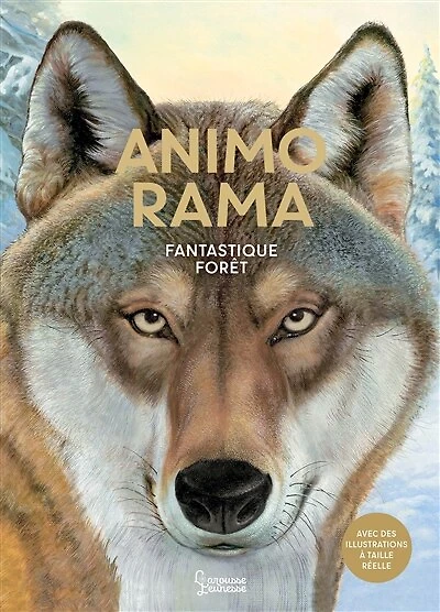 Fantastique forêt