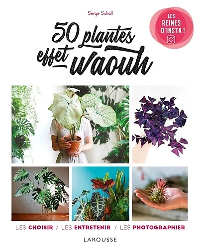 50 plantes effet waouh: les reines d'Insta !