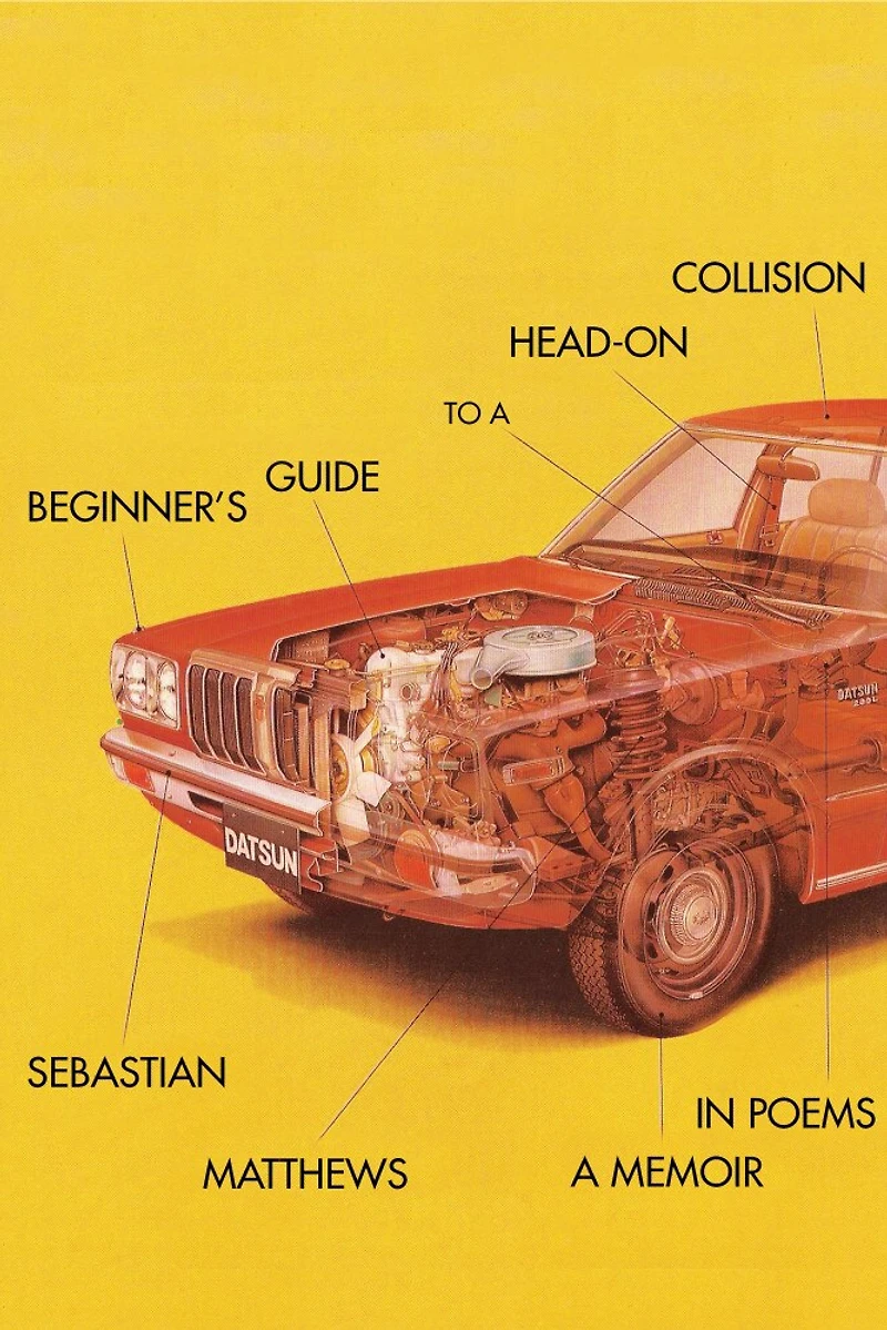 Beginner's Guide To A Head-on Collision
